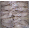 frozen liligo baby squid